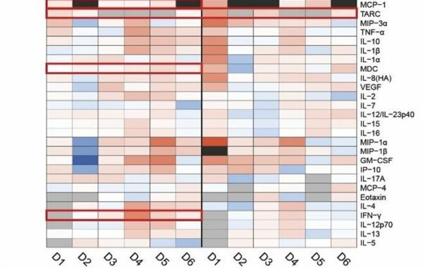 Heatmap of the log2 fold change of the cytokines concentrations in clinical-grade water vs vaccine injected modules after 8h and 24h on 6 different donors.